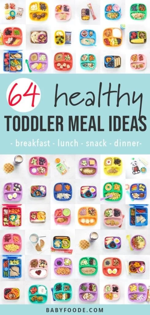 Colorful toddler meal ideas for kids aged 2-5 years old