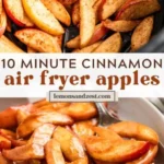 quick and easy air fryer cinnamon apples recipe 2026 07 20 185609 488x1024 1