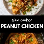 slow cooker peanut chicken 2026 07 20 185619 569x1024 1